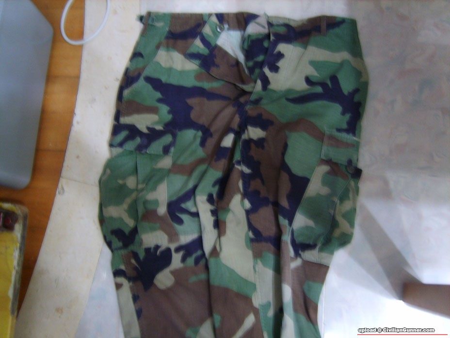 S8001727.JPG