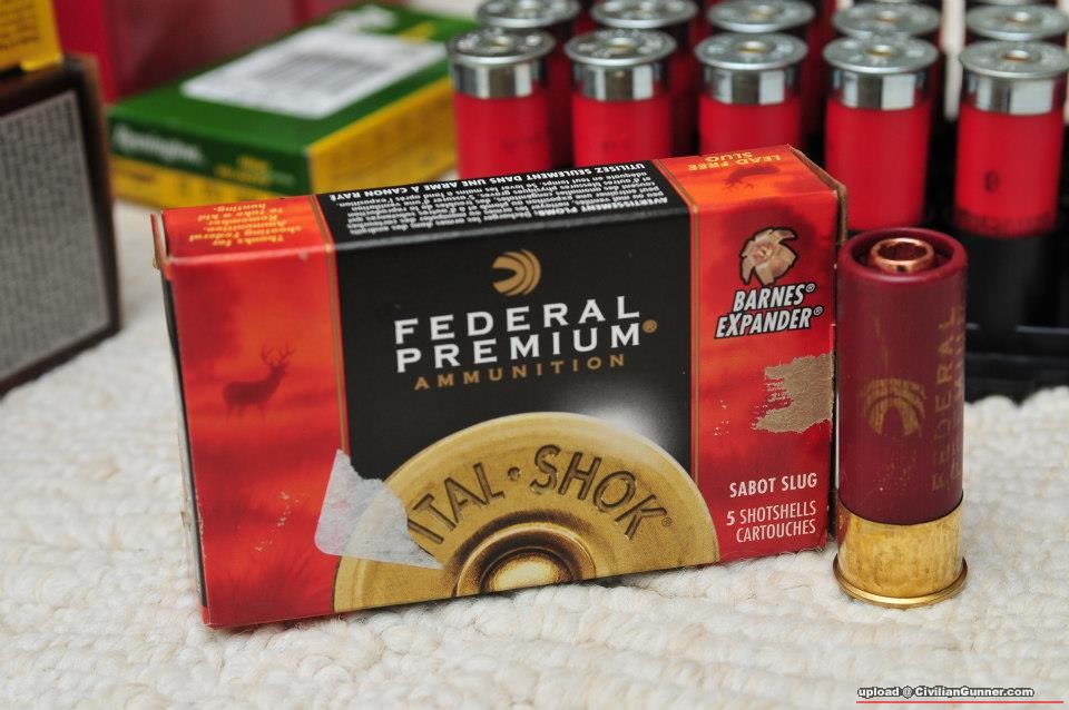 shotgun ammo07.jpg