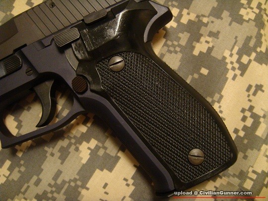 P226b.JPG