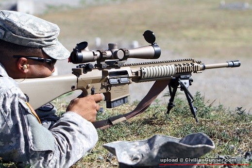 M110_SR25.jpg