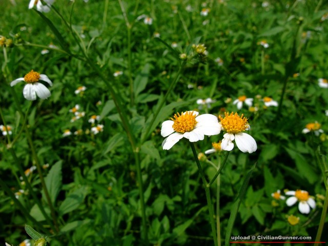 DSCF6786_resize.jpg