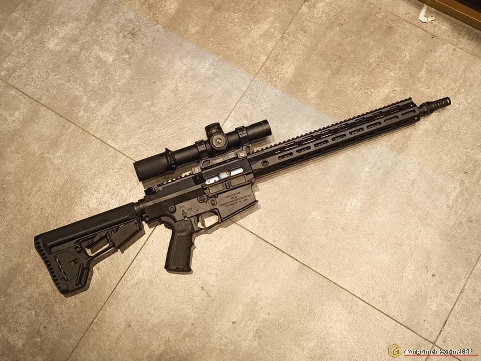 SR25 ACC 2.jpg