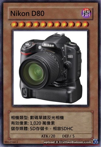Nikon-D80-Card.jpg