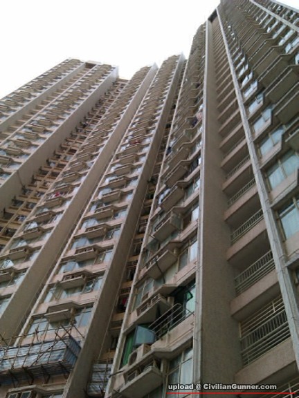 IMAG0249.jpg