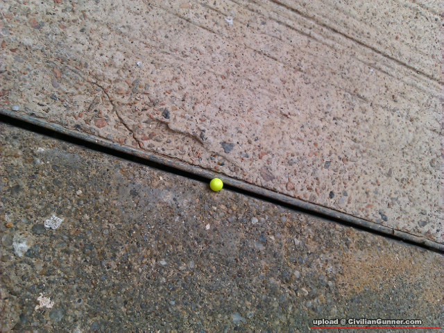 IMAG0250.jpg
