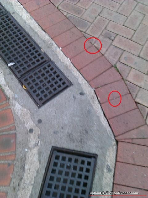 IMAG0246.jpg