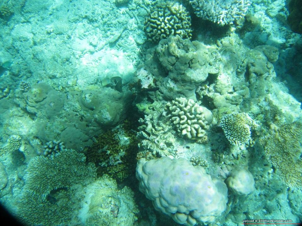 10558_10151466701851239_1070384207_n.jpg