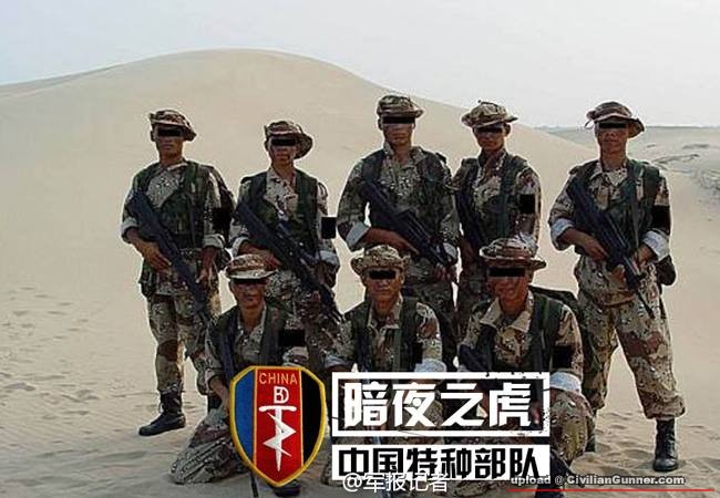 plasf01.jpg