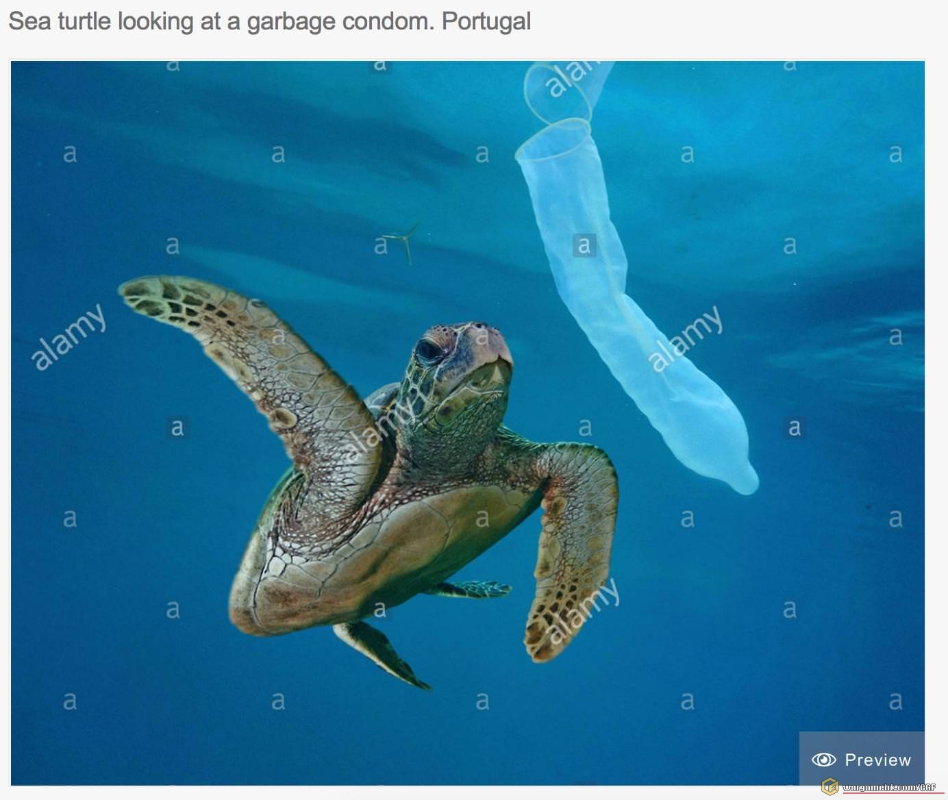 QkeMLPK.jpg