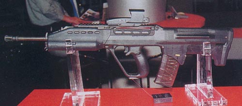 SAR21rail.jpg (28675 bytes)