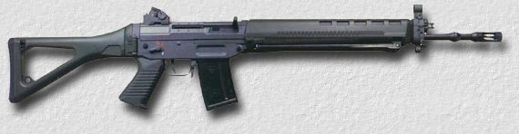 SG550Ng.jpg (16057 bytes)