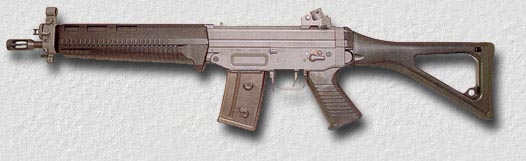 SIG551g.jpg (17092 bytes)